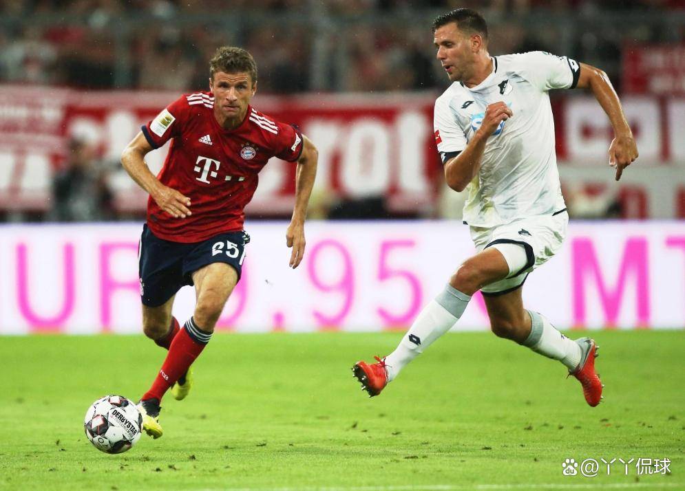 aoa体育体育链接-包含霍芬海姆遭遇逆转，保级困境更加严峻的词条