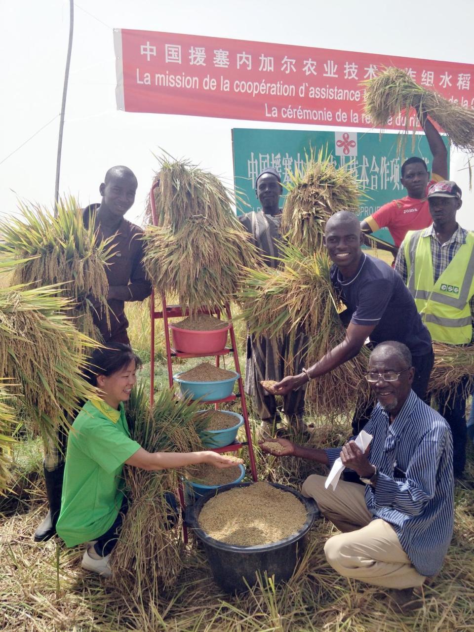 aoa体育体育官网-关于进取决赛！南非球队打破瓶颈，终夺前八的信息