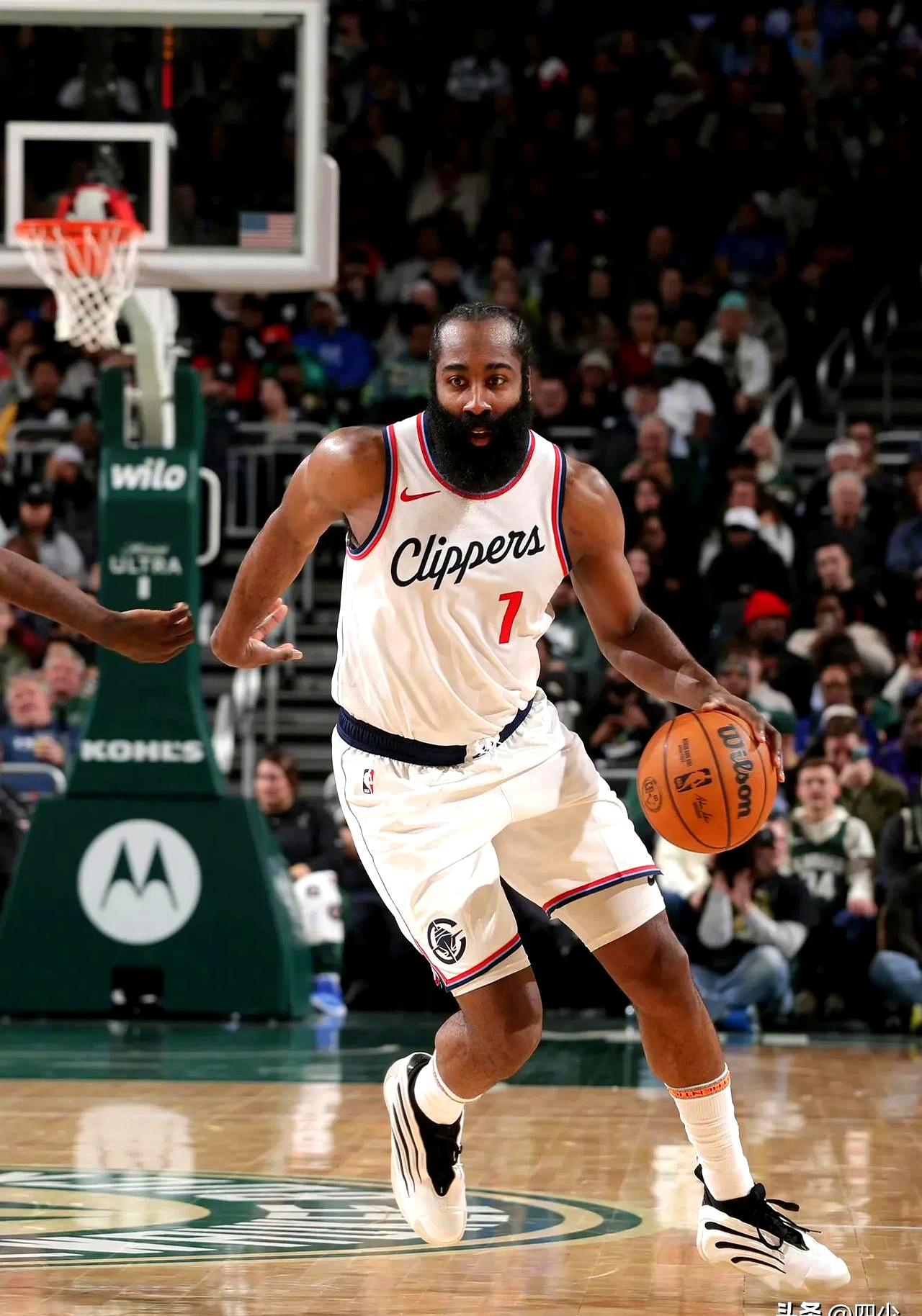 关于快船擒下黄蜂,继续保持领先的信息 关于快船擒下黄蜂,继续保持领先的信息